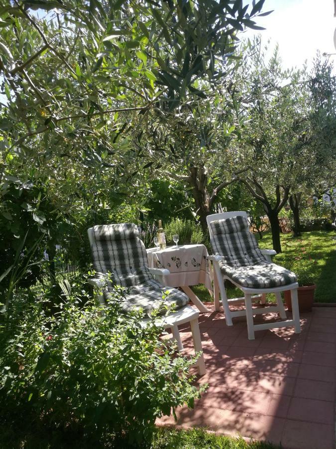 Studio Apartment Oliva Apartment Pula